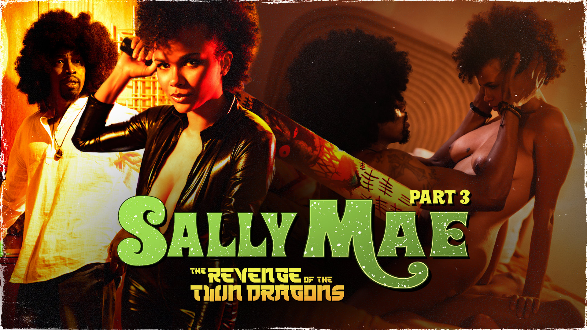 Sally Mae: The Revenge of the Twin Dragons: Part 3